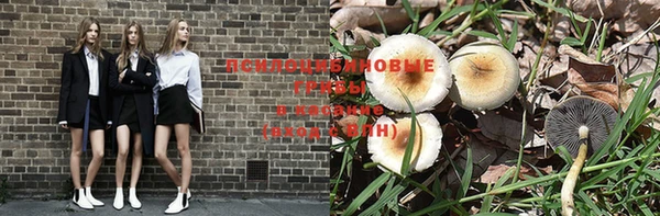 дмт Аркадак