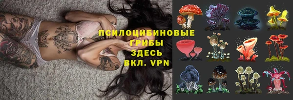 бутират Алексин